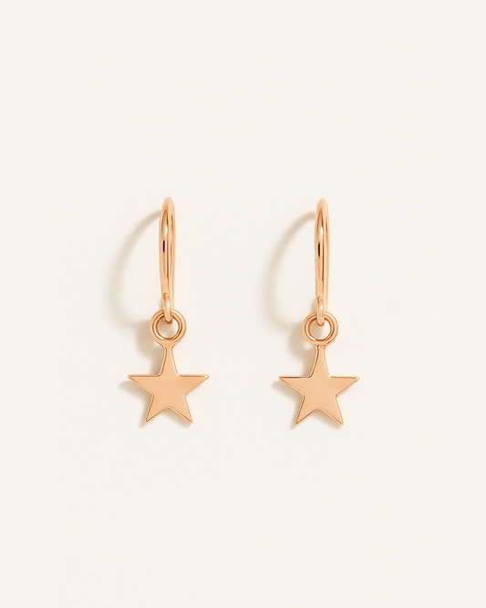 Ashley – Guiding Star Earrings